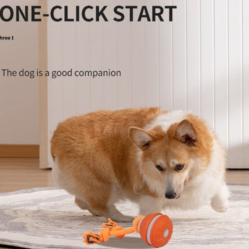 Interactive Pet Rolling Ball Toy USB Rechargeable